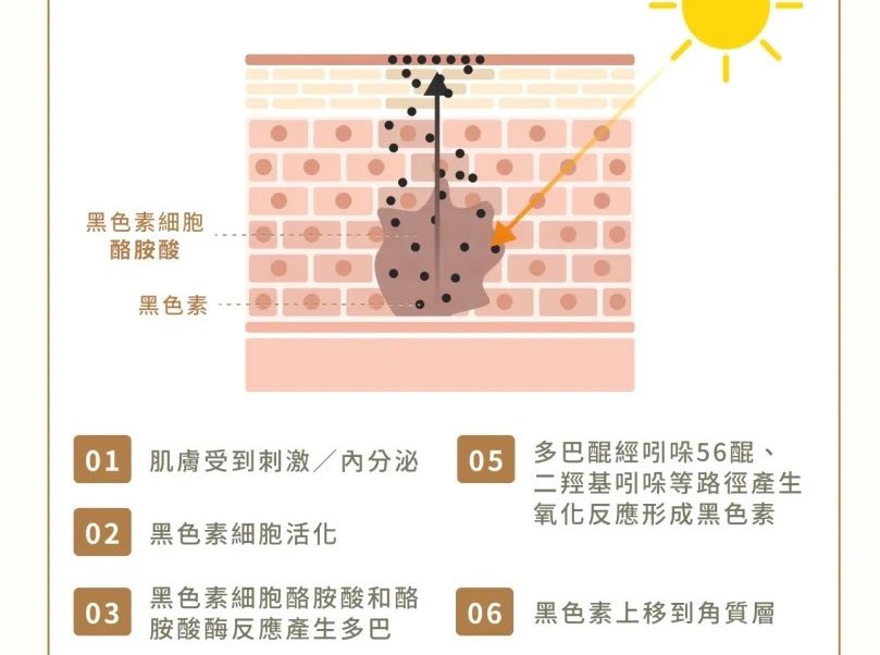 美白精华开封后怎么保存 美白精华 美白精华开封后怎么保存