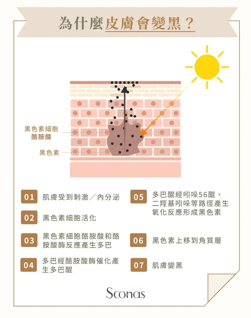 美白精华开封后怎么保存 美白精华 美白精华开封后怎么保存